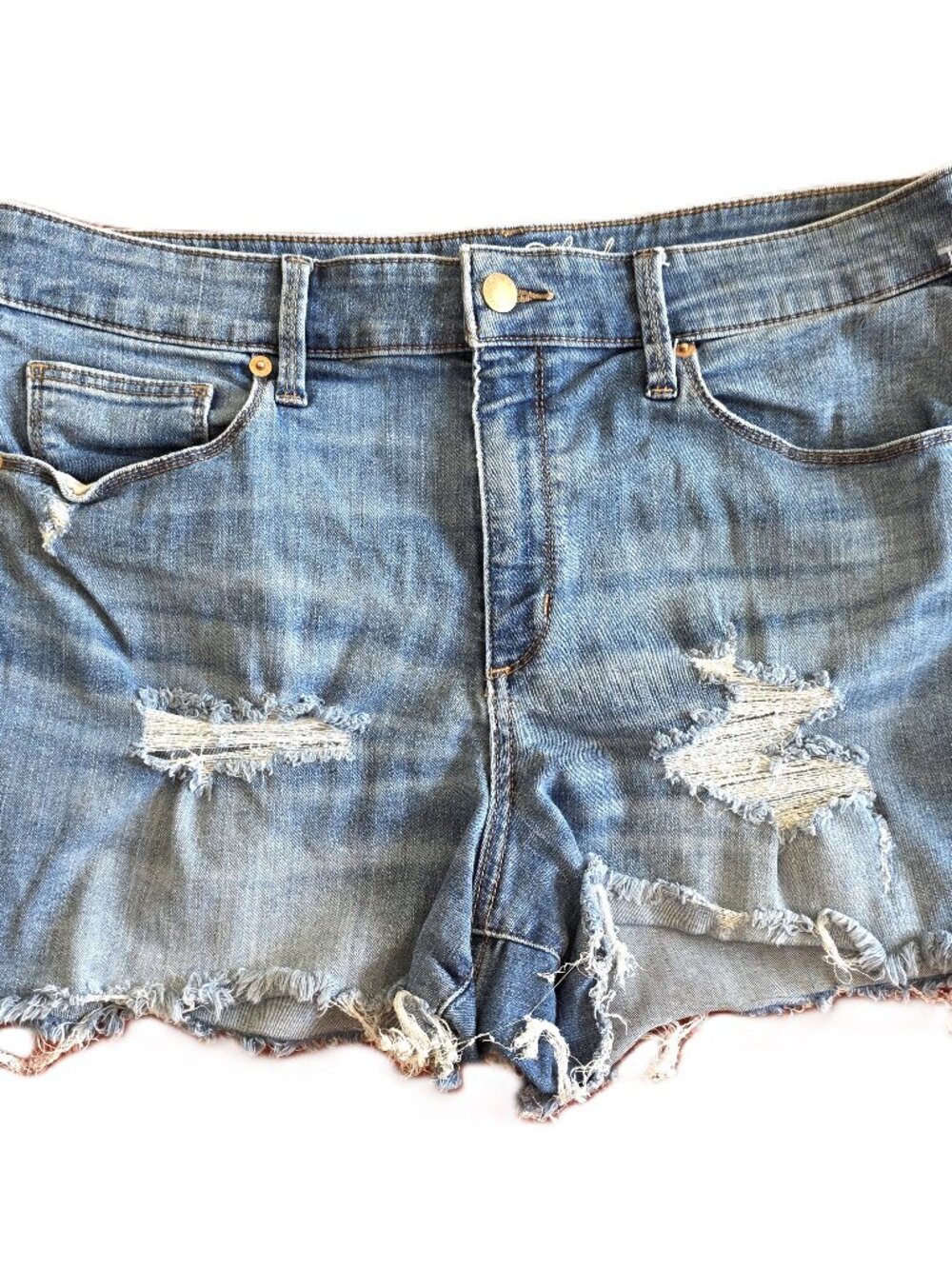 Distressed Shorts